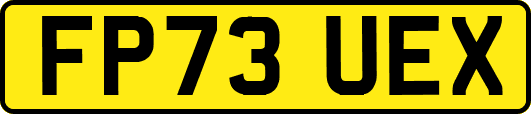 FP73UEX