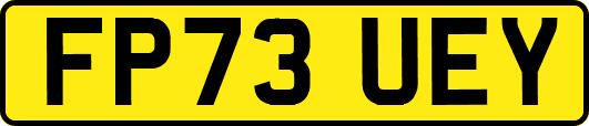 FP73UEY