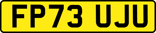 FP73UJU