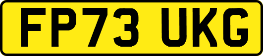 FP73UKG