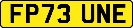 FP73UNE