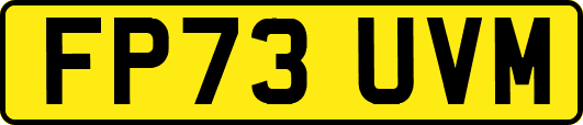 FP73UVM