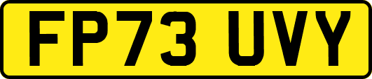 FP73UVY