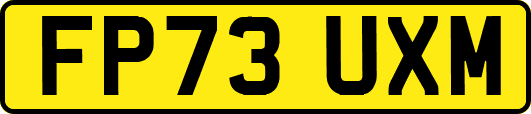FP73UXM