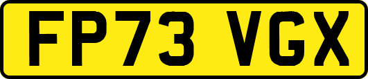 FP73VGX