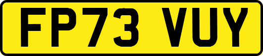 FP73VUY