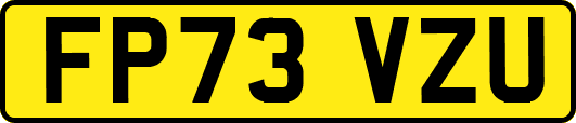 FP73VZU