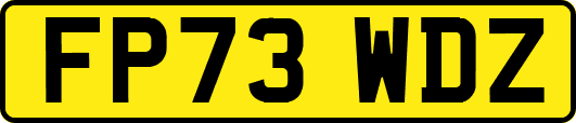 FP73WDZ