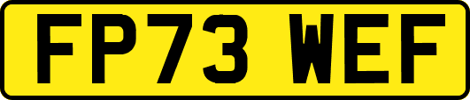 FP73WEF