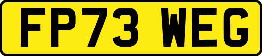 FP73WEG