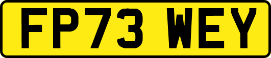 FP73WEY