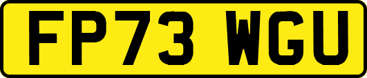 FP73WGU