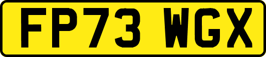 FP73WGX