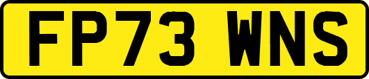 FP73WNS