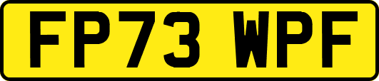 FP73WPF