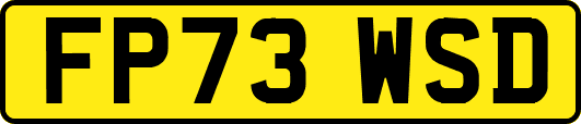 FP73WSD