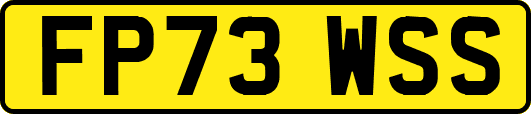 FP73WSS