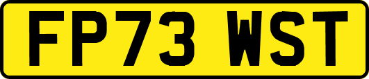 FP73WST