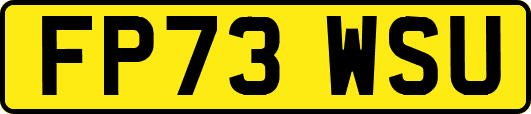 FP73WSU