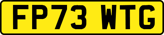 FP73WTG