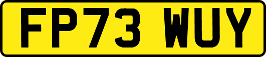 FP73WUY