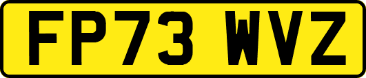FP73WVZ