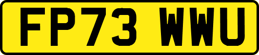 FP73WWU
