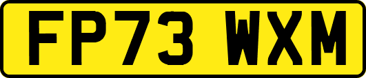 FP73WXM