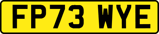 FP73WYE