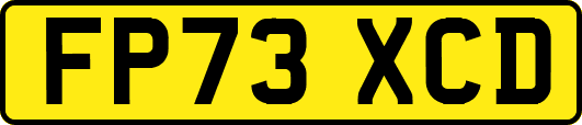 FP73XCD