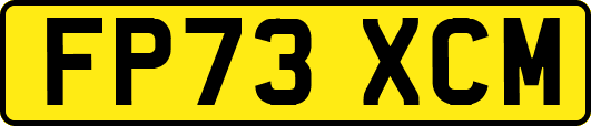 FP73XCM