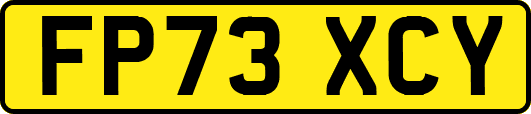 FP73XCY