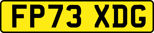FP73XDG