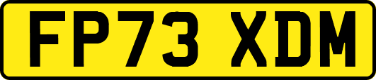 FP73XDM