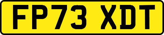 FP73XDT