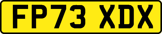 FP73XDX