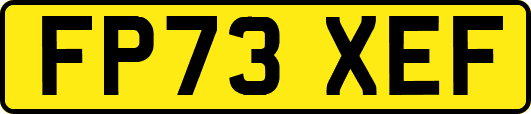 FP73XEF