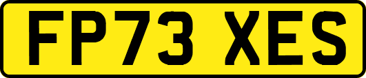 FP73XES