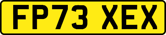 FP73XEX
