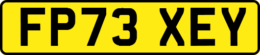 FP73XEY