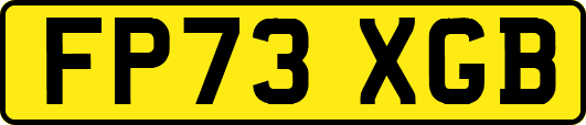 FP73XGB