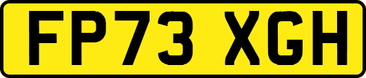 FP73XGH