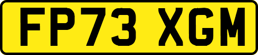 FP73XGM