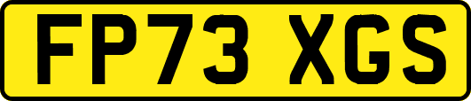FP73XGS