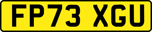 FP73XGU