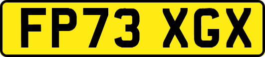 FP73XGX