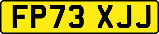 FP73XJJ