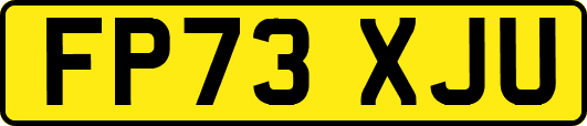 FP73XJU