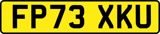 FP73XKU
