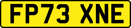 FP73XNE